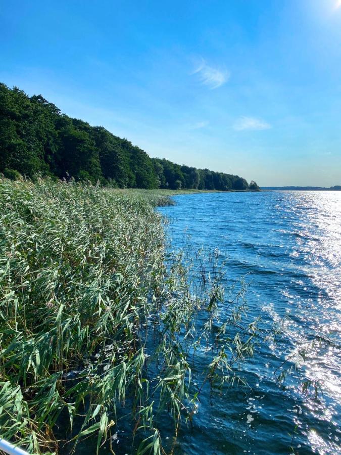Ferienwohnung In Der Uckermark Am Oberuckersee Ot Warnitz Екстер'єр фото